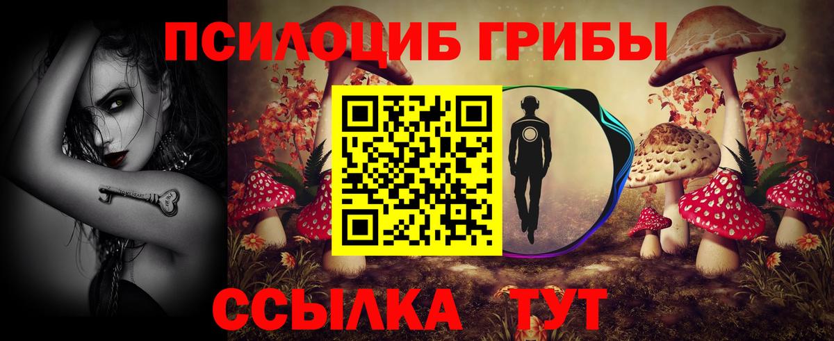 Усолье-Сибирское  Псилоцибиновые грибы Magic Shrooms  Вход с VPN 