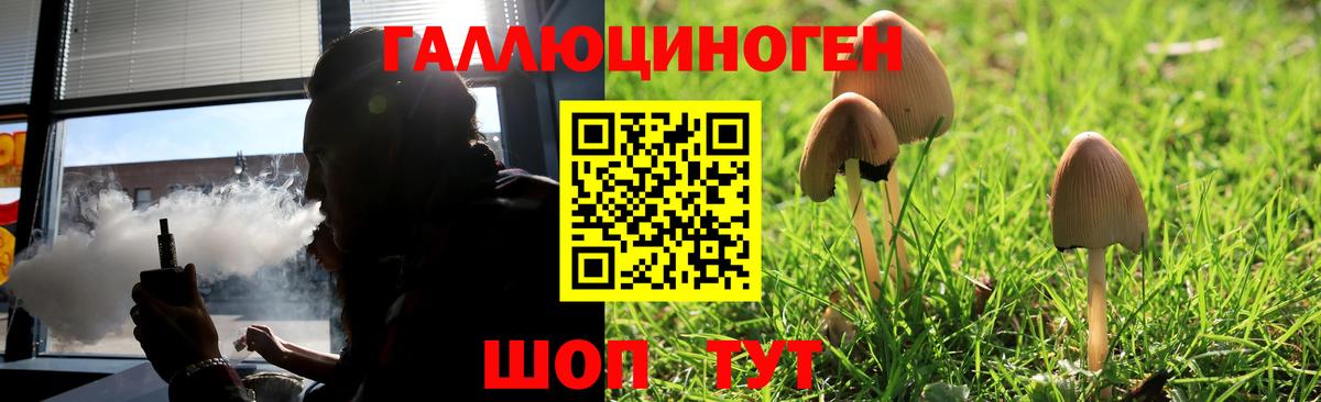 Псилоцибиновые грибы Psilocybe Усолье-Сибирское