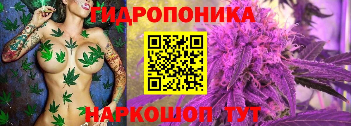 Марихуана планчик  Конопля семена  Бошки марихуана индика  Вход с VPN  Марихуана Ganja  Усолье-Сибирское 